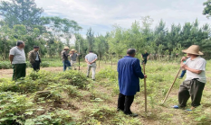 1659431854536219.png image.png