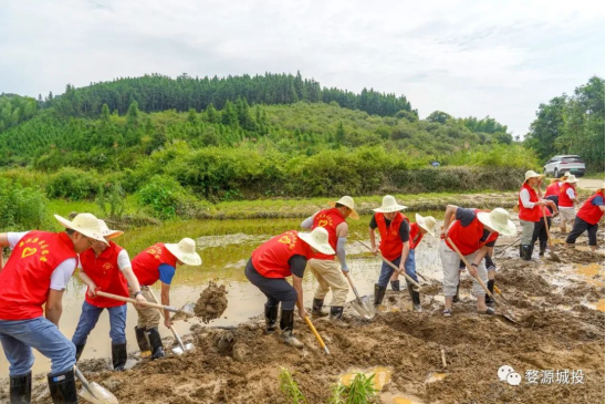 1660274617139823.png image.png